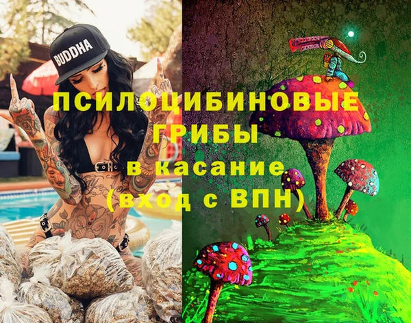 ешки Богородицк
