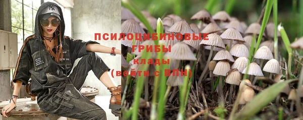 ешки Богородицк