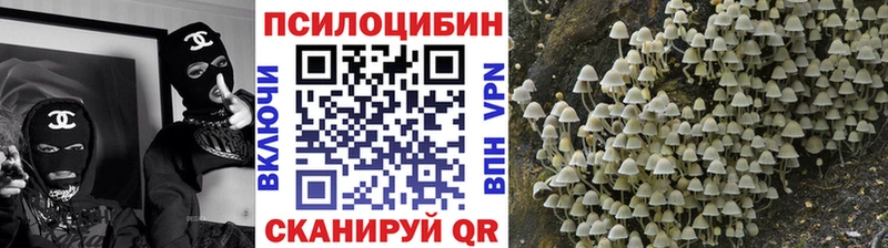 Псилоцибиновые грибы Psilocybine cubensis  что такое   Гай 