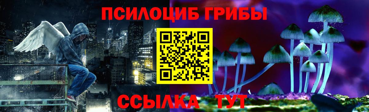 Галлюциногенные грибы GOLDEN TEACHER Гай