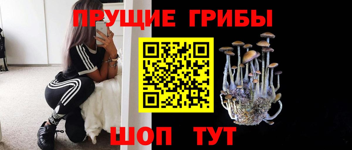Псилоцибиновые грибы Magic Shrooms  Вход с VPN  Гай  Псилоцибиновые грибы Psilocybine cubensis 