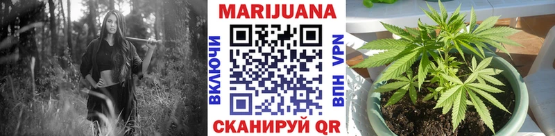 Шишки марихуана VHQ  купить наркотики цена  Гай 
